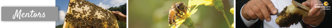 WestPlainsBeekeepersAssoc MentorsWebBanner