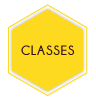 WPBeeKeepers ClassesHexButton